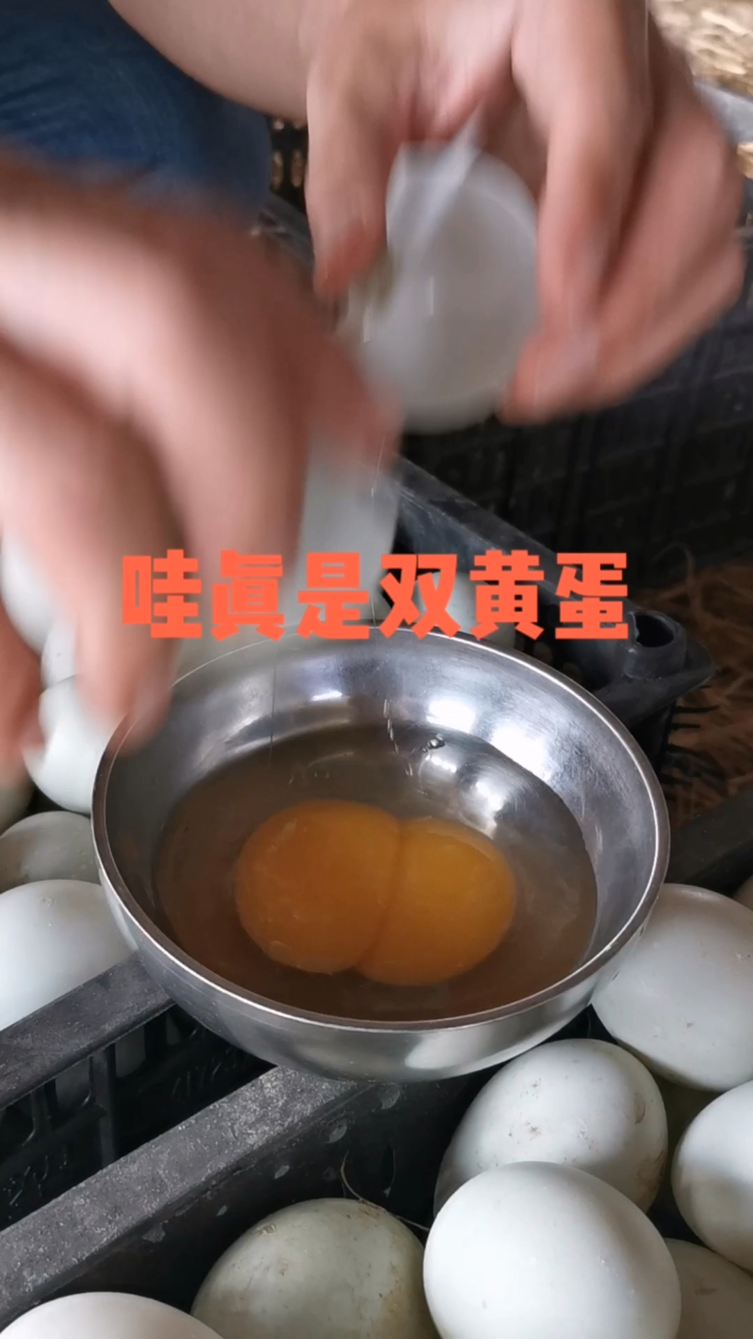 #乡村生活#双黄蛋