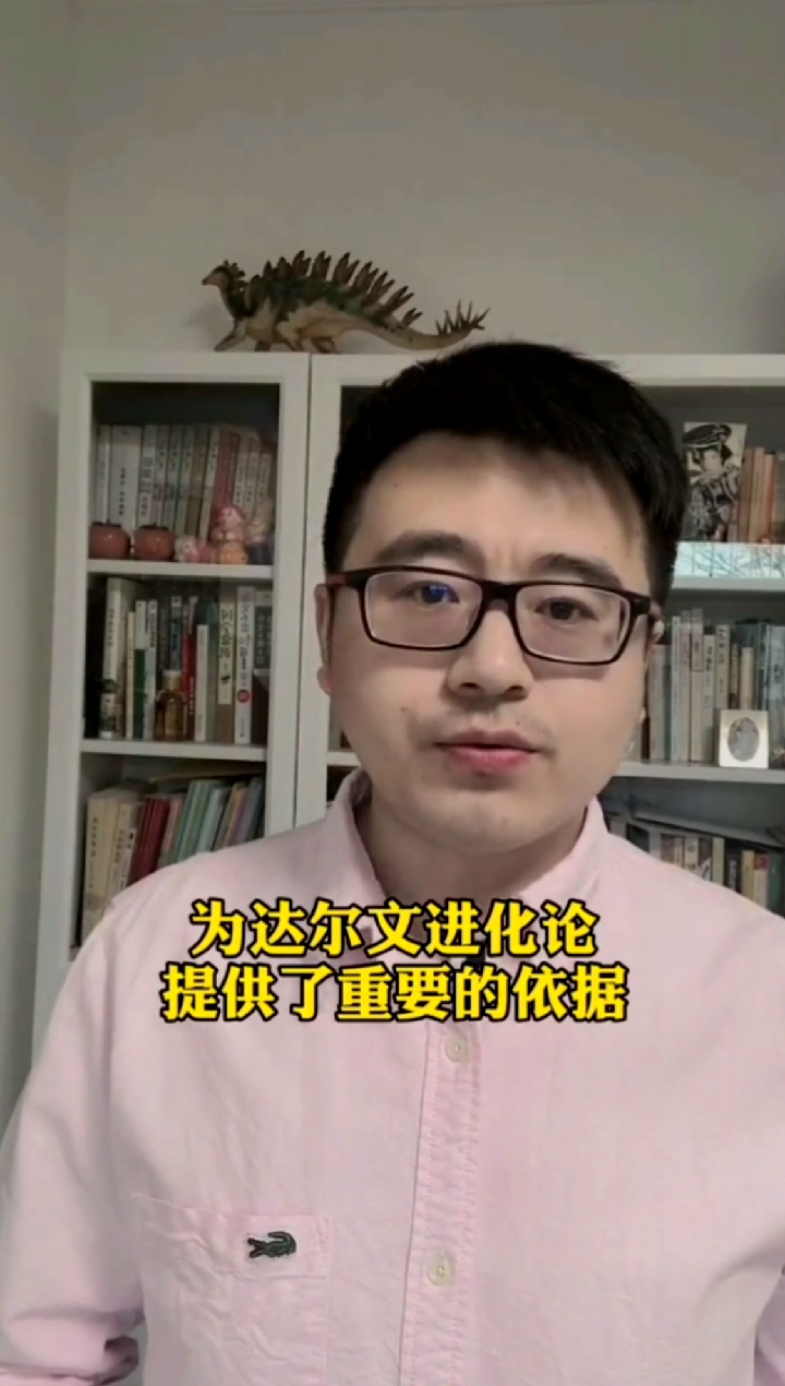 #历史#“北京人”头盖骨化石神秘失踪已经80年,到底去哪里了?