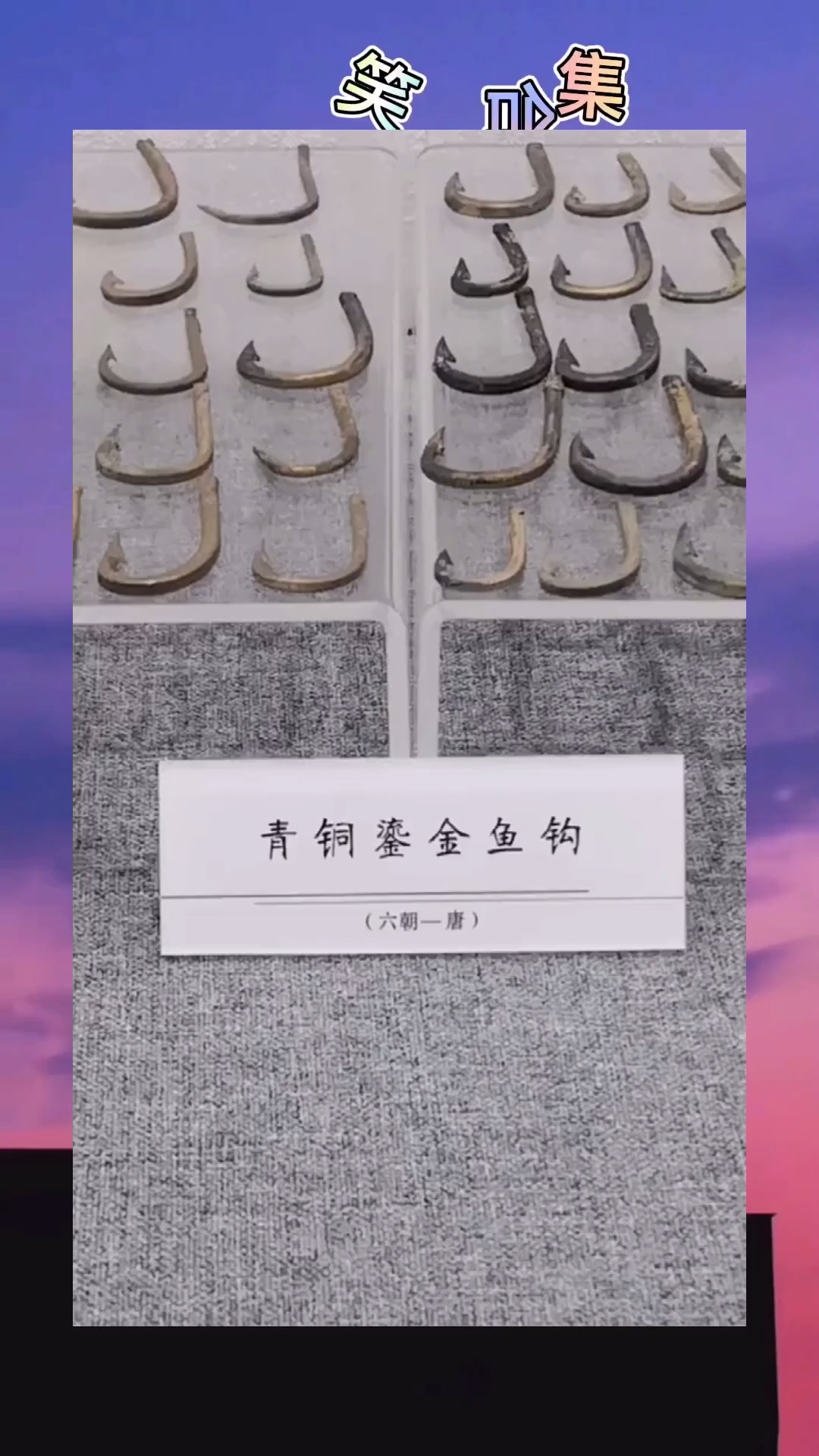 古代鱼真够大的