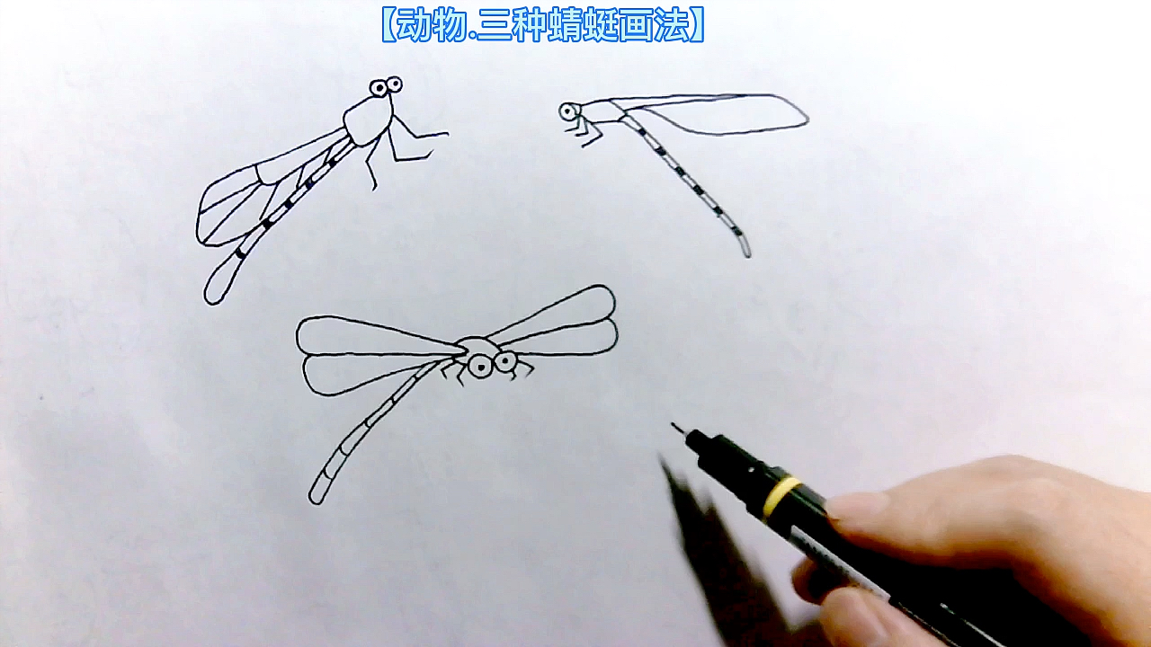 #画画原来如此简单#简笔画儿童画大全.手绘蜻蜓画法2,在家就能学习画画