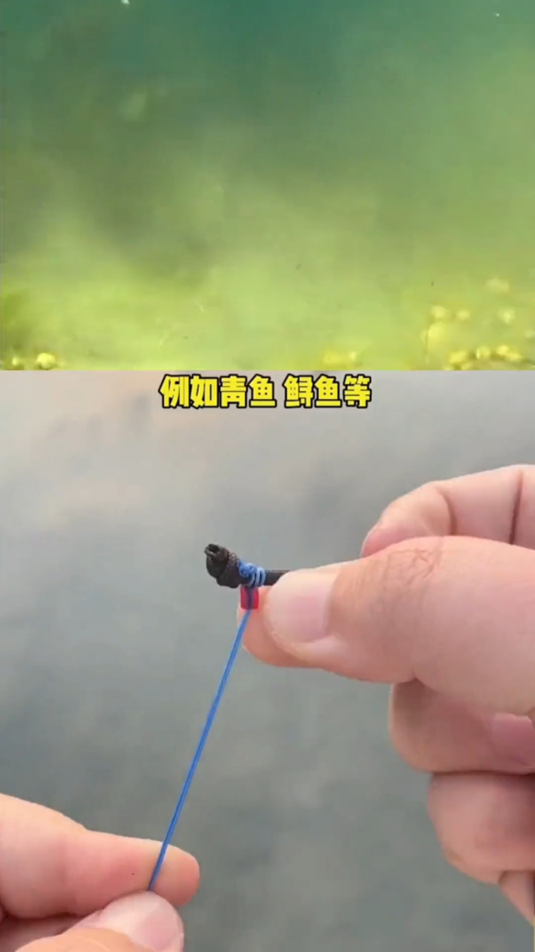 #钓鱼#三种竿稍结实用绑法,钓友们可以根据情况选择使用,快收藏起来备用吧!