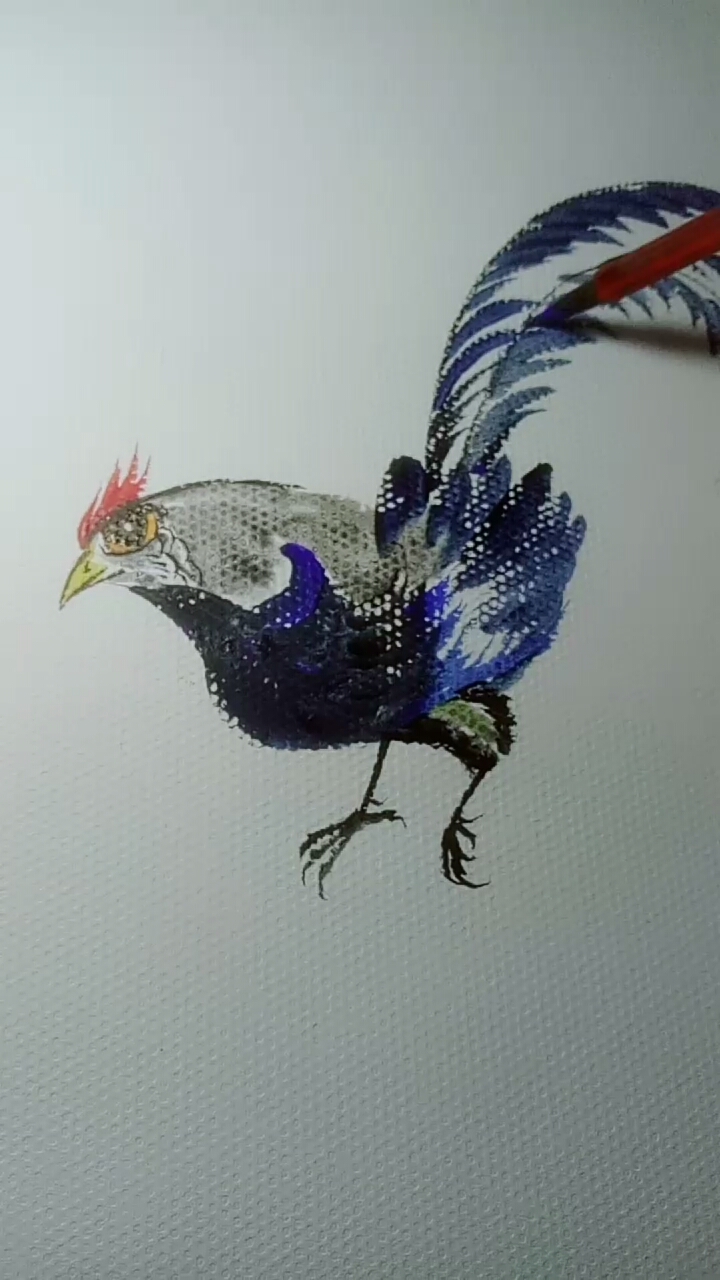 锦鸡画法教程
