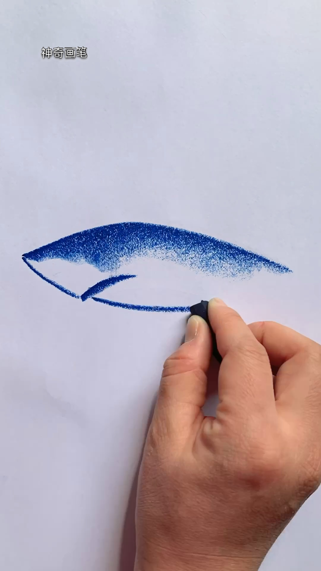 教你如何在10秒内学会画一只鲨鱼