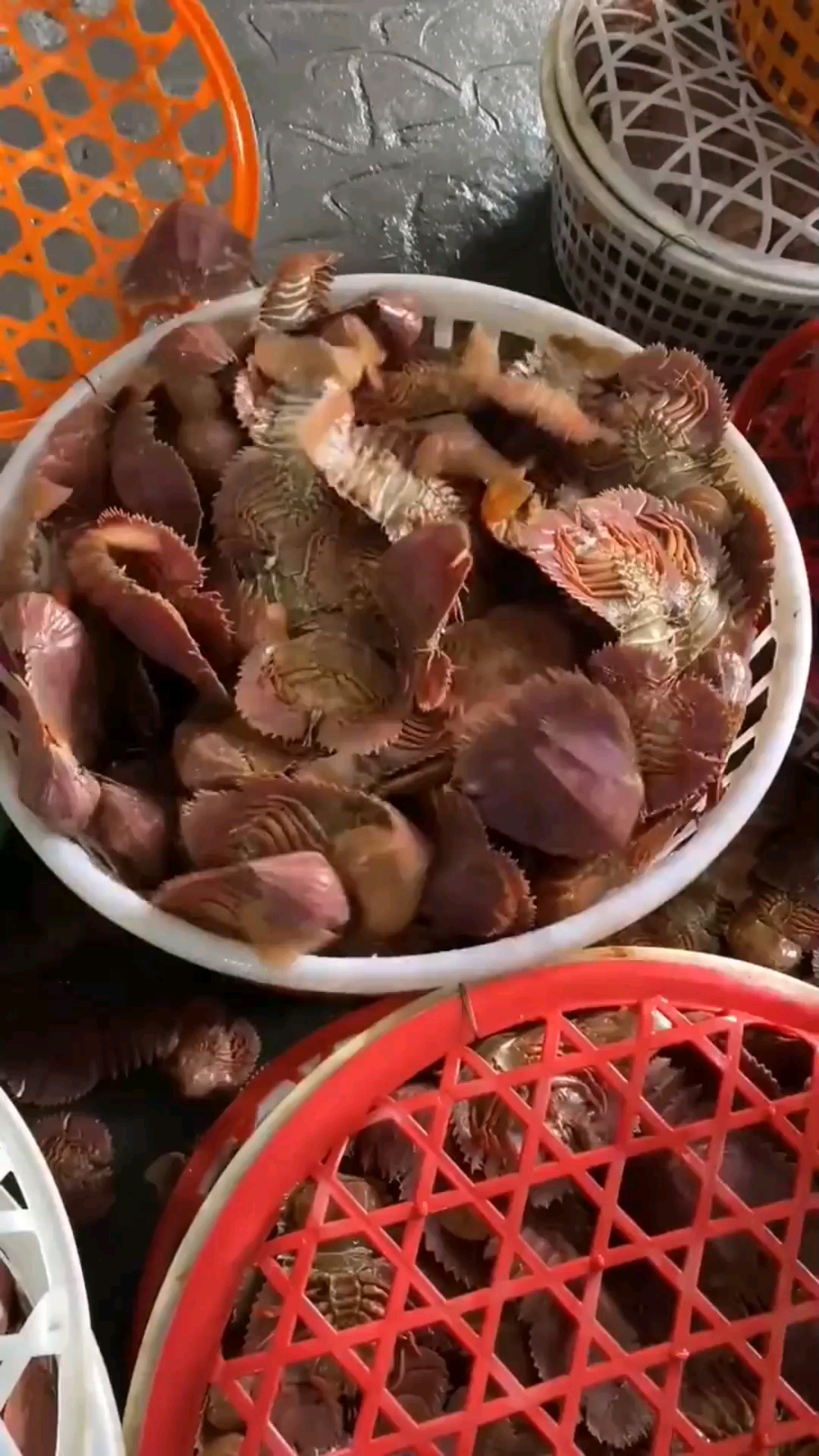 大海的味道,喜欢吃海鲜的朋友一定要关注我哦