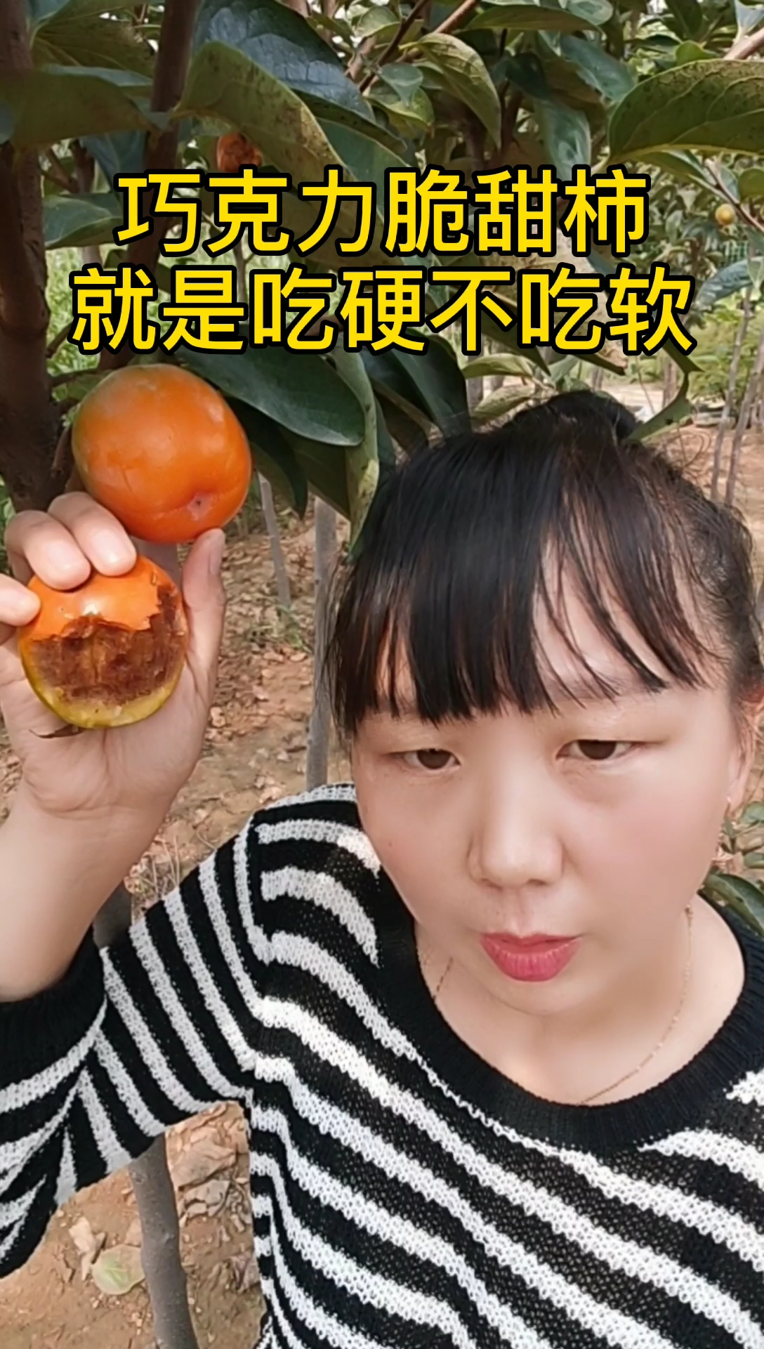 #家乡特色美食#巧克力脆甜柿子不用脱涩直接可吃,又脆又甜的