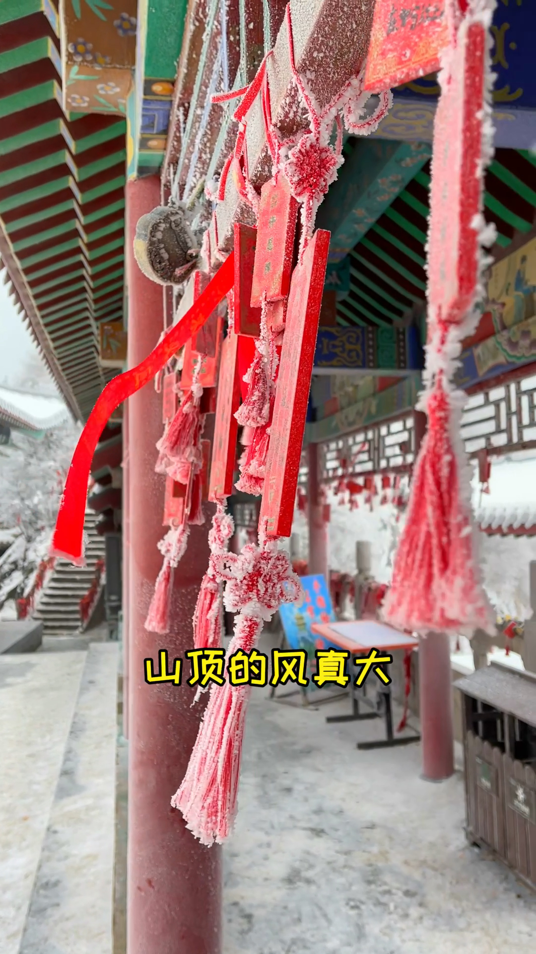 #过好冬天#泡芙的第一次雪山之行，也是坐过缆车，看过人间仙境的小猫咪啦