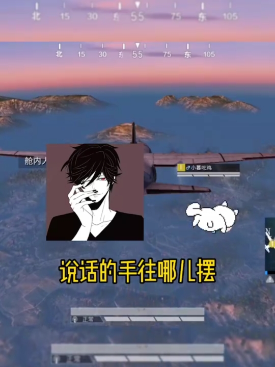 #大吉大利今晚吃鸡#