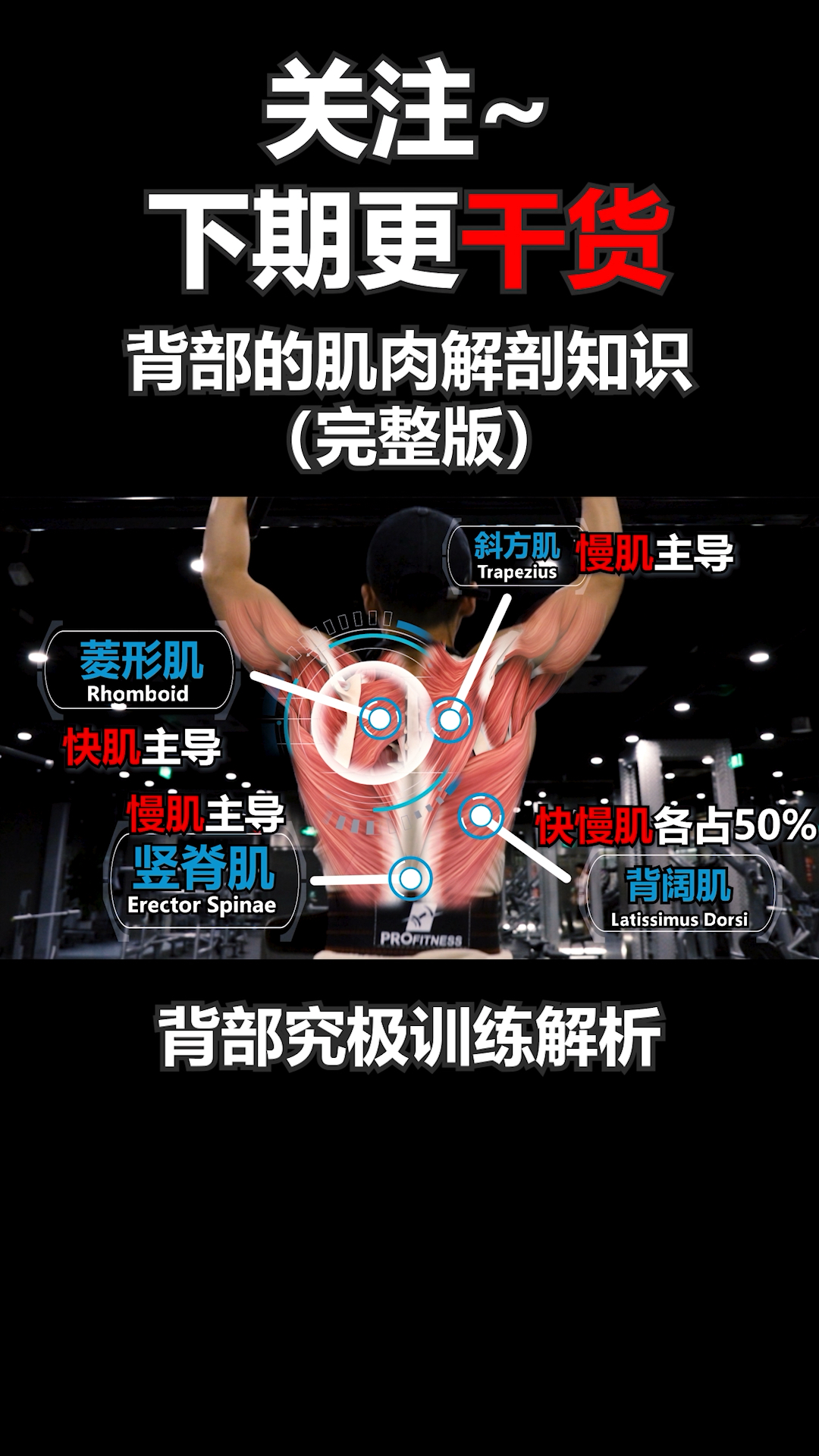 #健身#背部的肌肉解剖知识