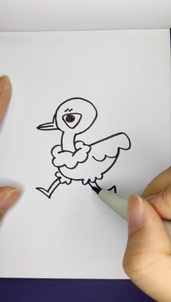 #简笔画#鸡？鸭？鸟？
