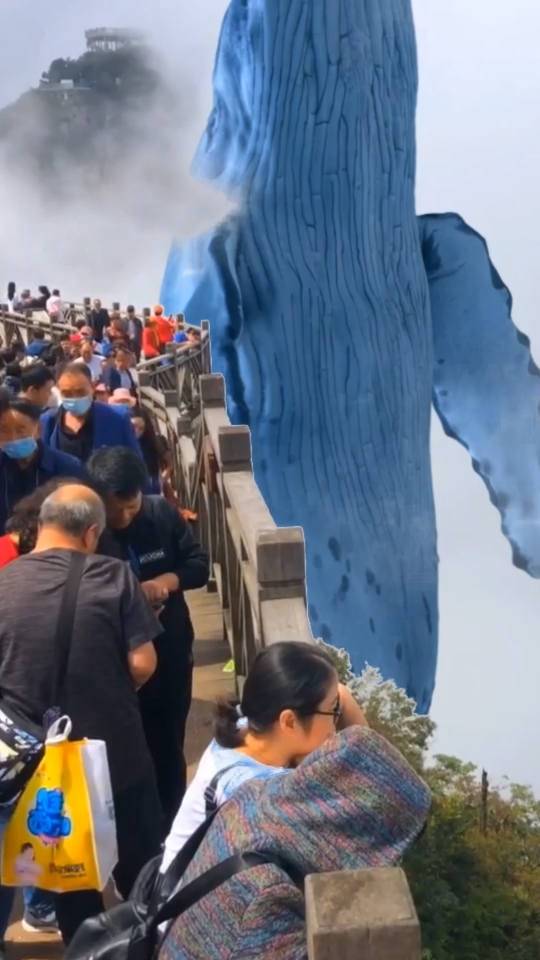 张家界风景鱼