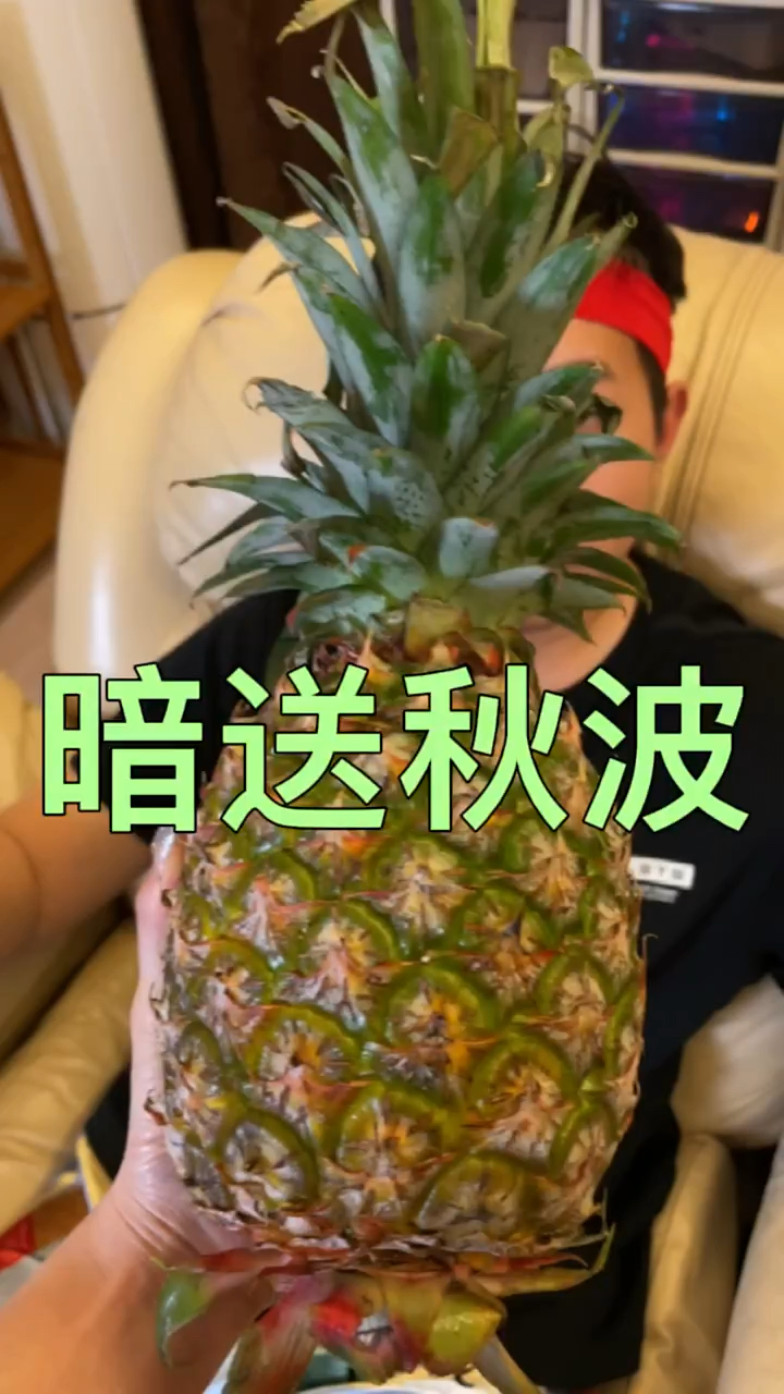 你的笑脸。就是我的春天,再温柔的文案,也比不了你的笑脸