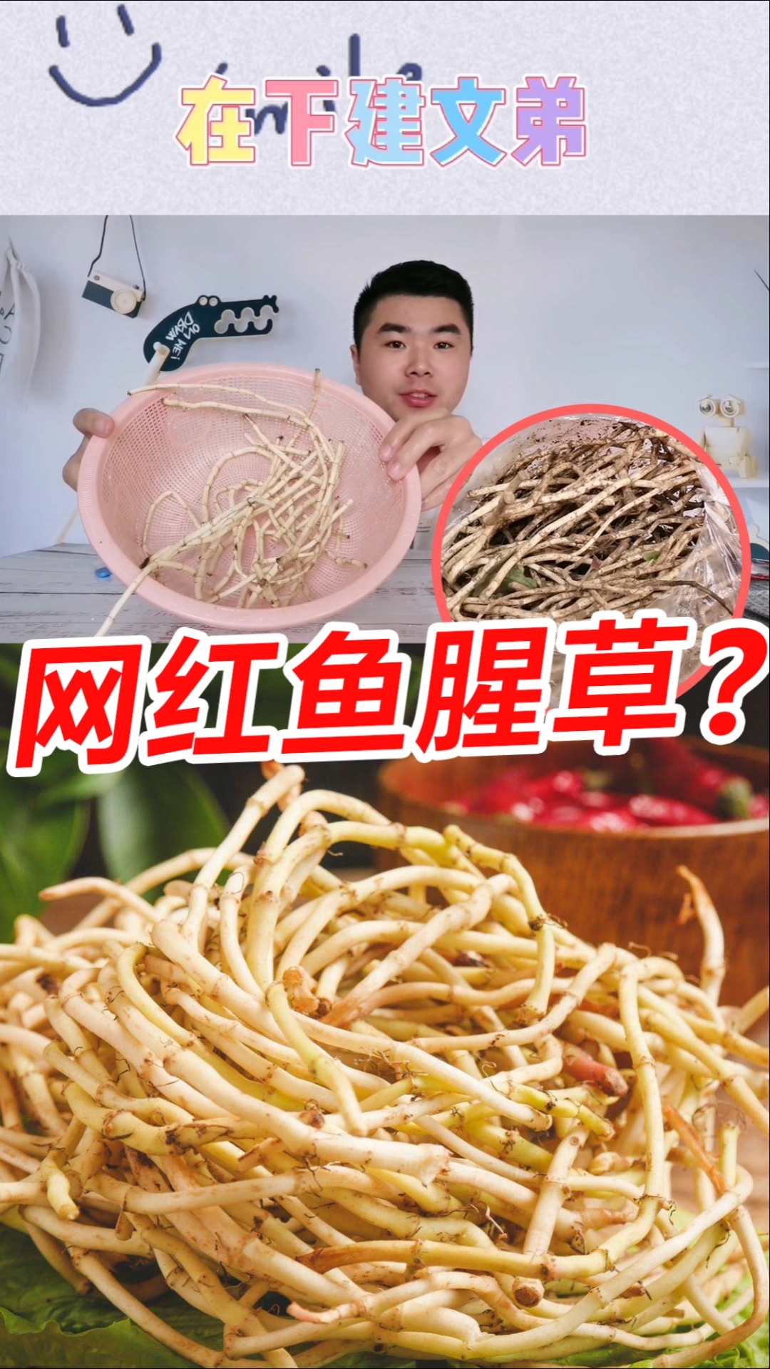 #美食#网红鱼腥草真的好吃吗?10块钱一斤,网友:真能吃出鱼味吗?