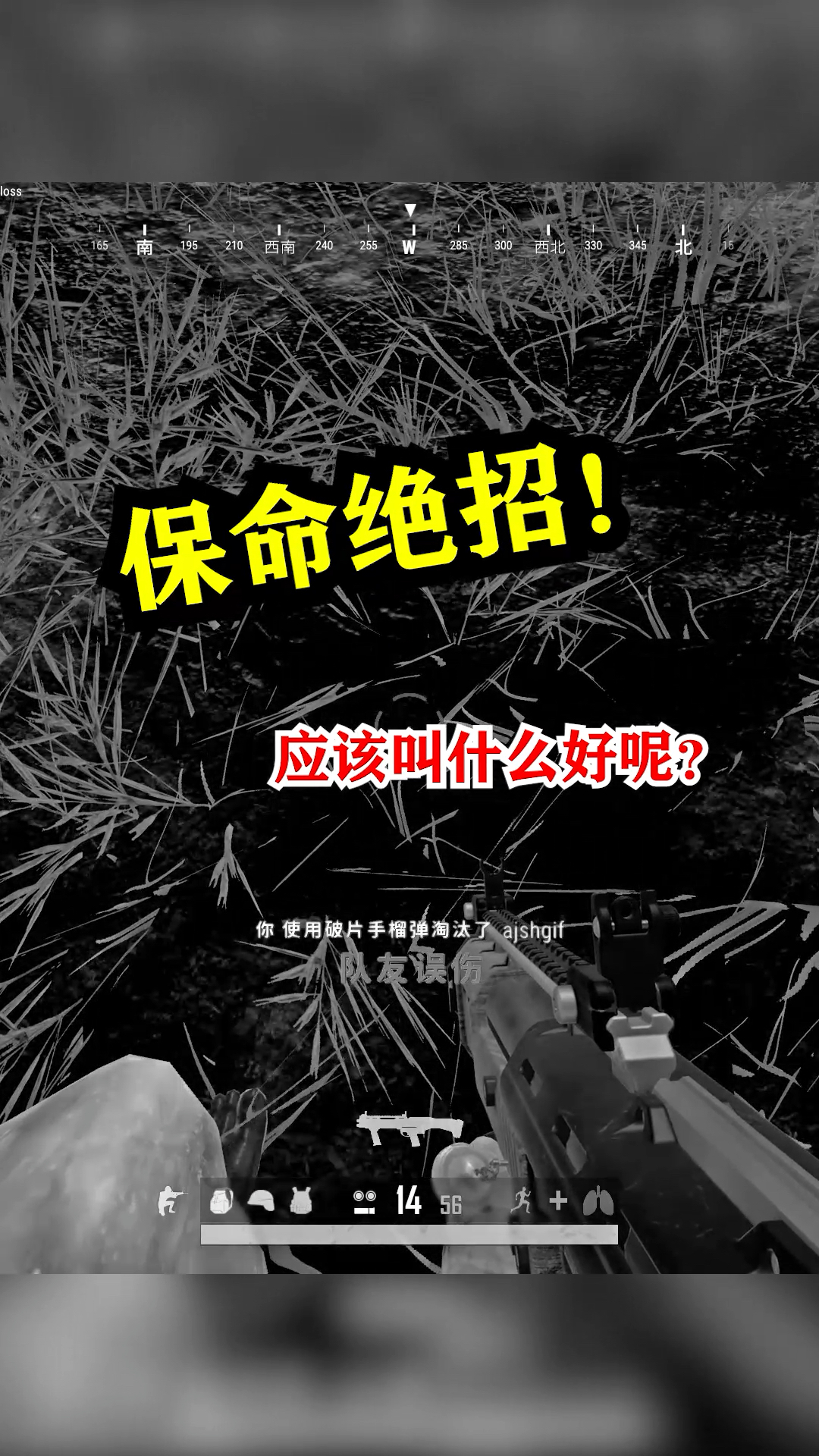 #绝地求生#麻烦帮我取一个霸气一点的名字