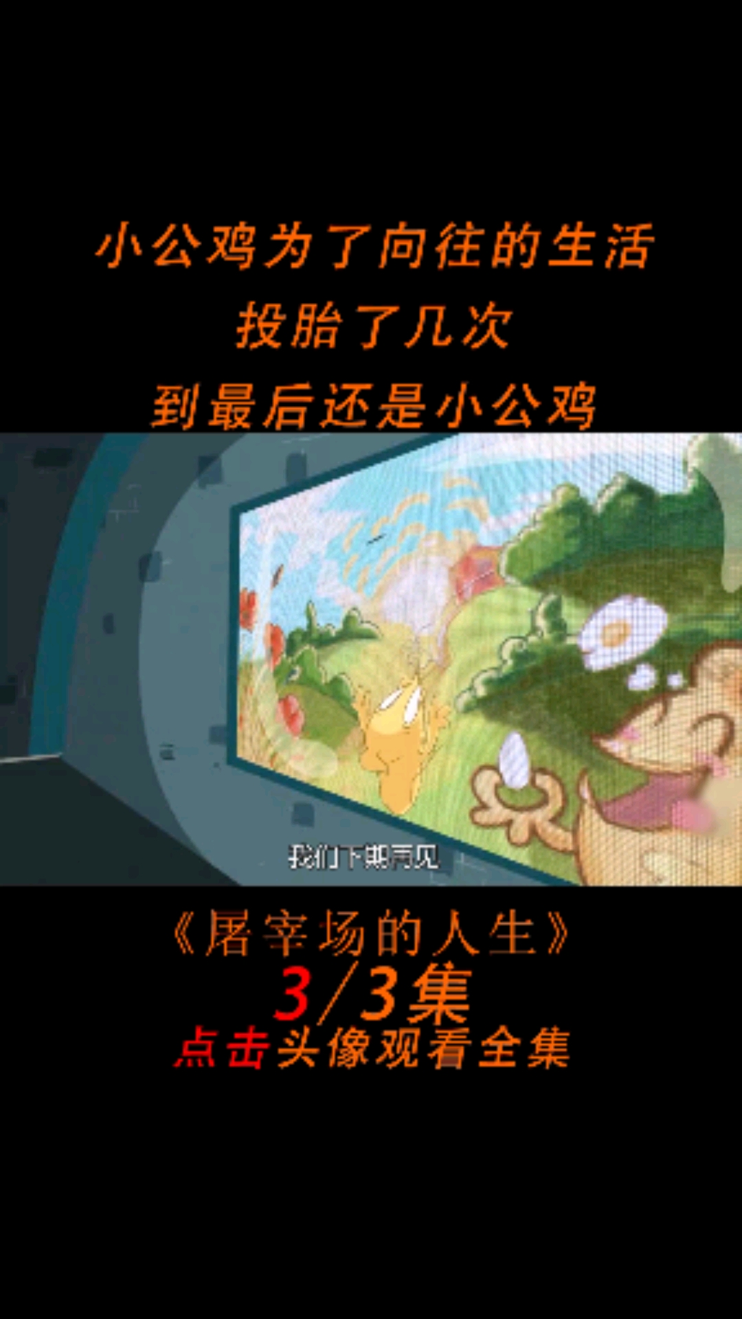 小鸡为了向往的生活,投胎了几次,到最后也没能改变命运