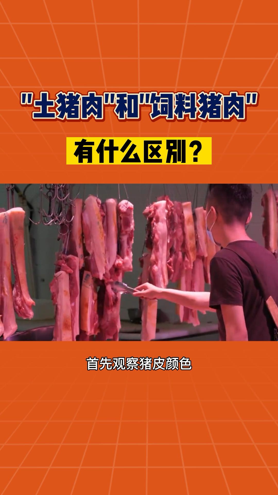 #猪肉#