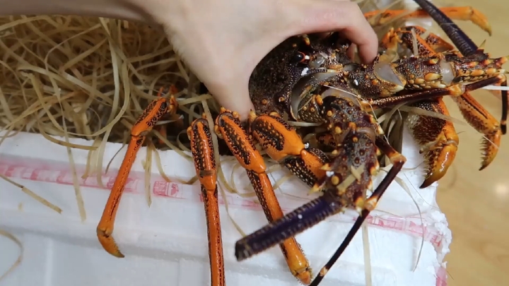 花1200元买一只澳洲红龙做成虾滑,味道怎么样?