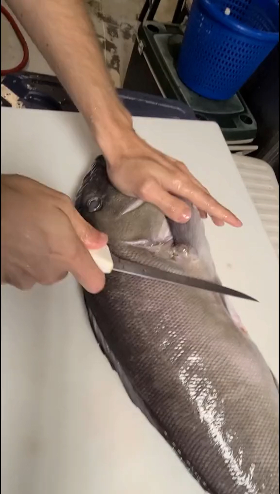 #刀法#大家有认识这个是什么鱼的吗?