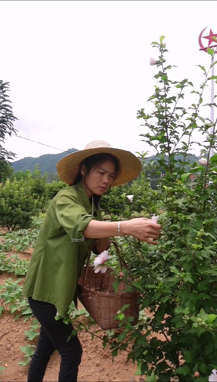 #家乡特色美食#小时候母亲一大早就去采米汤花,转眼间花还是那个花,味道也是那个味但似乎少了