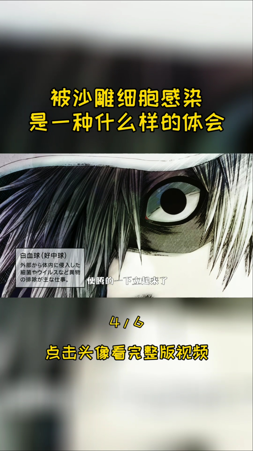 #动漫#