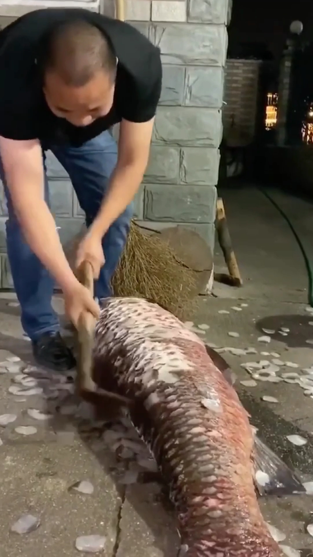 渔民做梦也没想到,自己会钓到一条120斤的大青鱼!