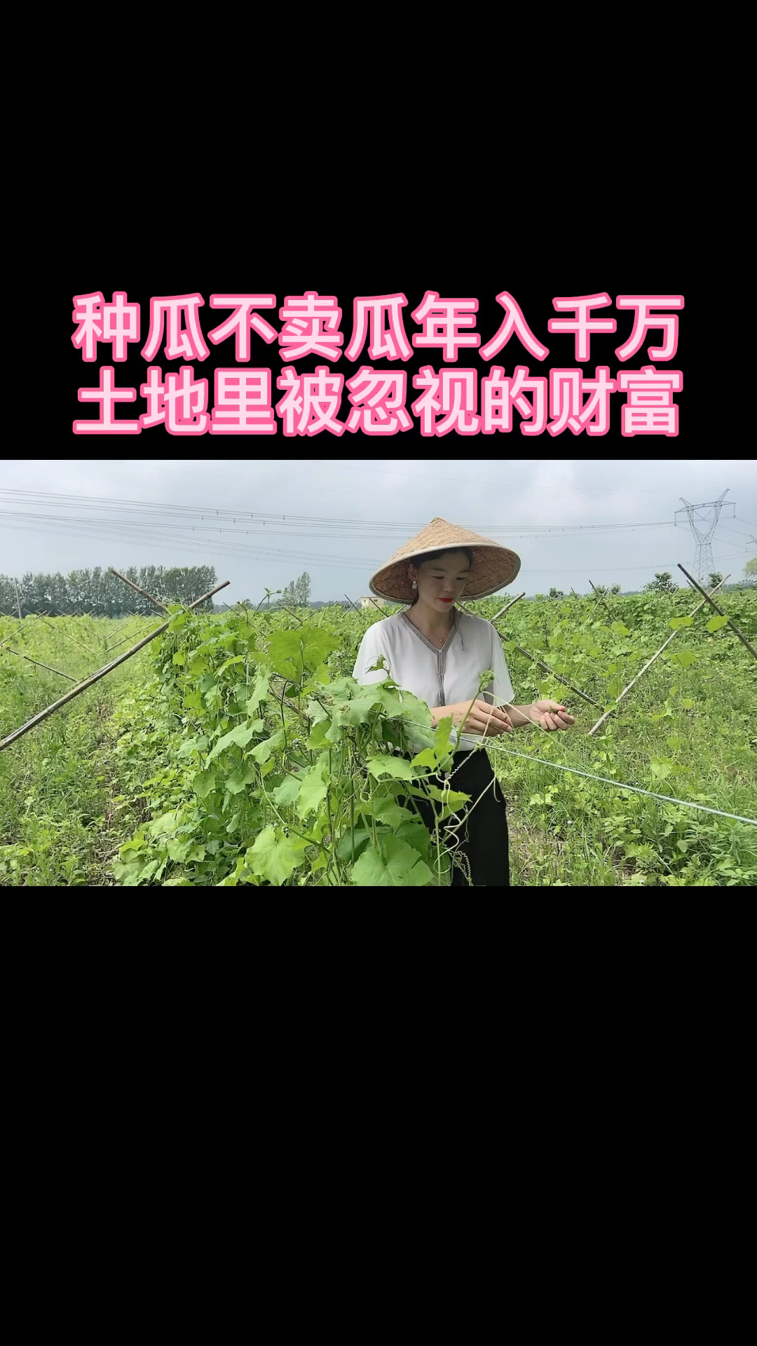 我姓汤,来自河南驻马店,做丝瓜种植深加工,有些一看种地的就滑走了,靠劳动养家丢人吗?
