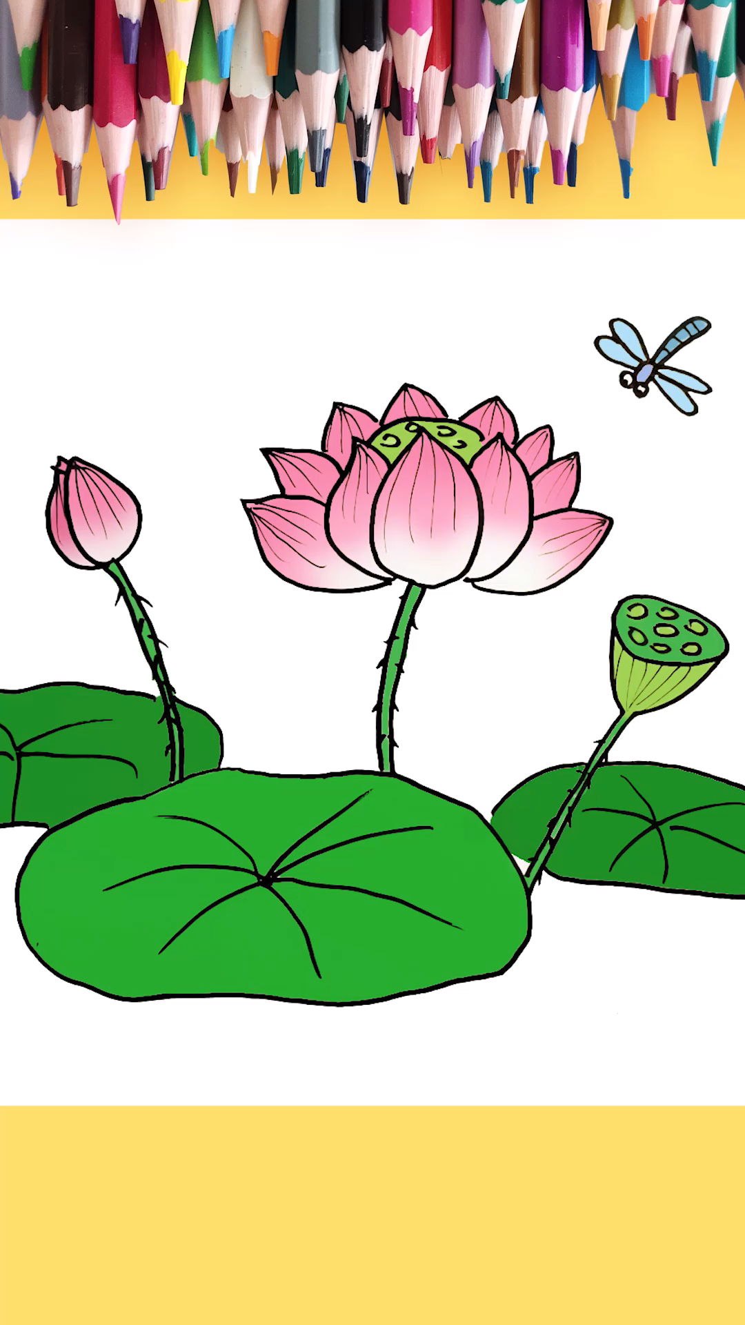#简笔画#简单又漂亮的荷花简笔画怎么画
