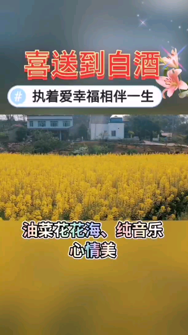#执着爱幸福相伴一生#油菜花花海美景,走进乡村欣赏大自然风光,心情总是美滋滋的!