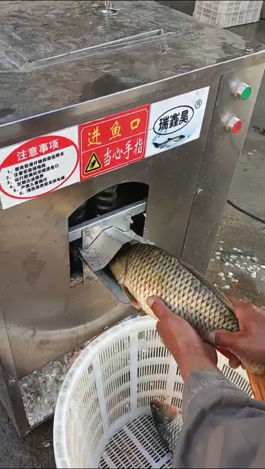 杀鱼神器