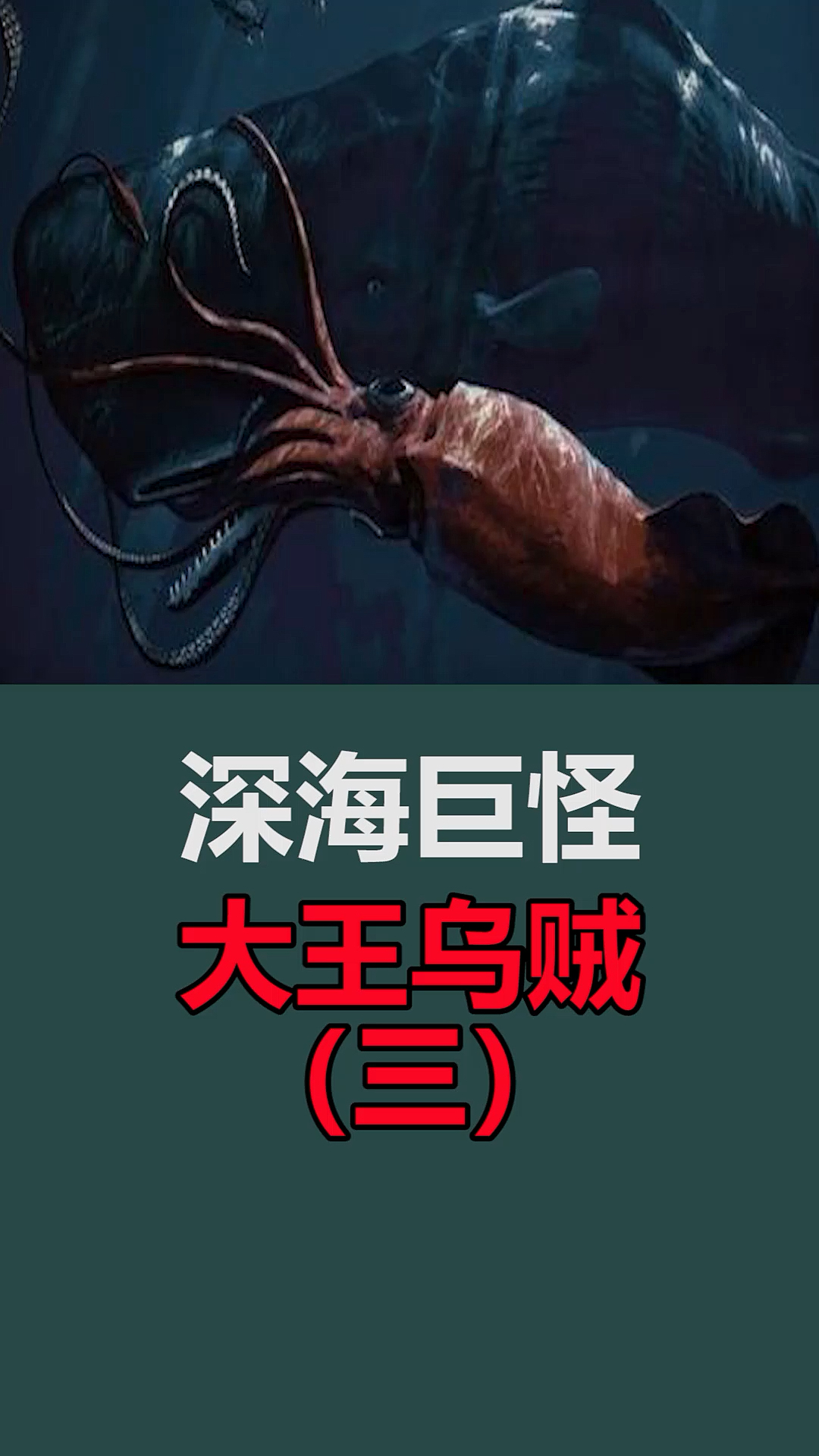 #恐龙#大王乌贼VS抹香鲸