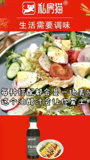 秘制油醋汁,拌蔬菜沙拉零脂又好吃,我把沙拉酱都扔了,减肥必备