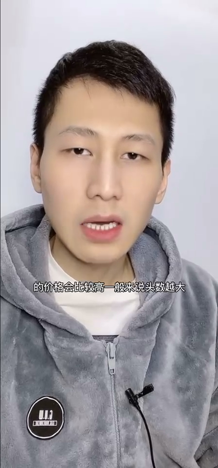 正宗文山三七粉多少钱一斤,好三七粉500克多少钱