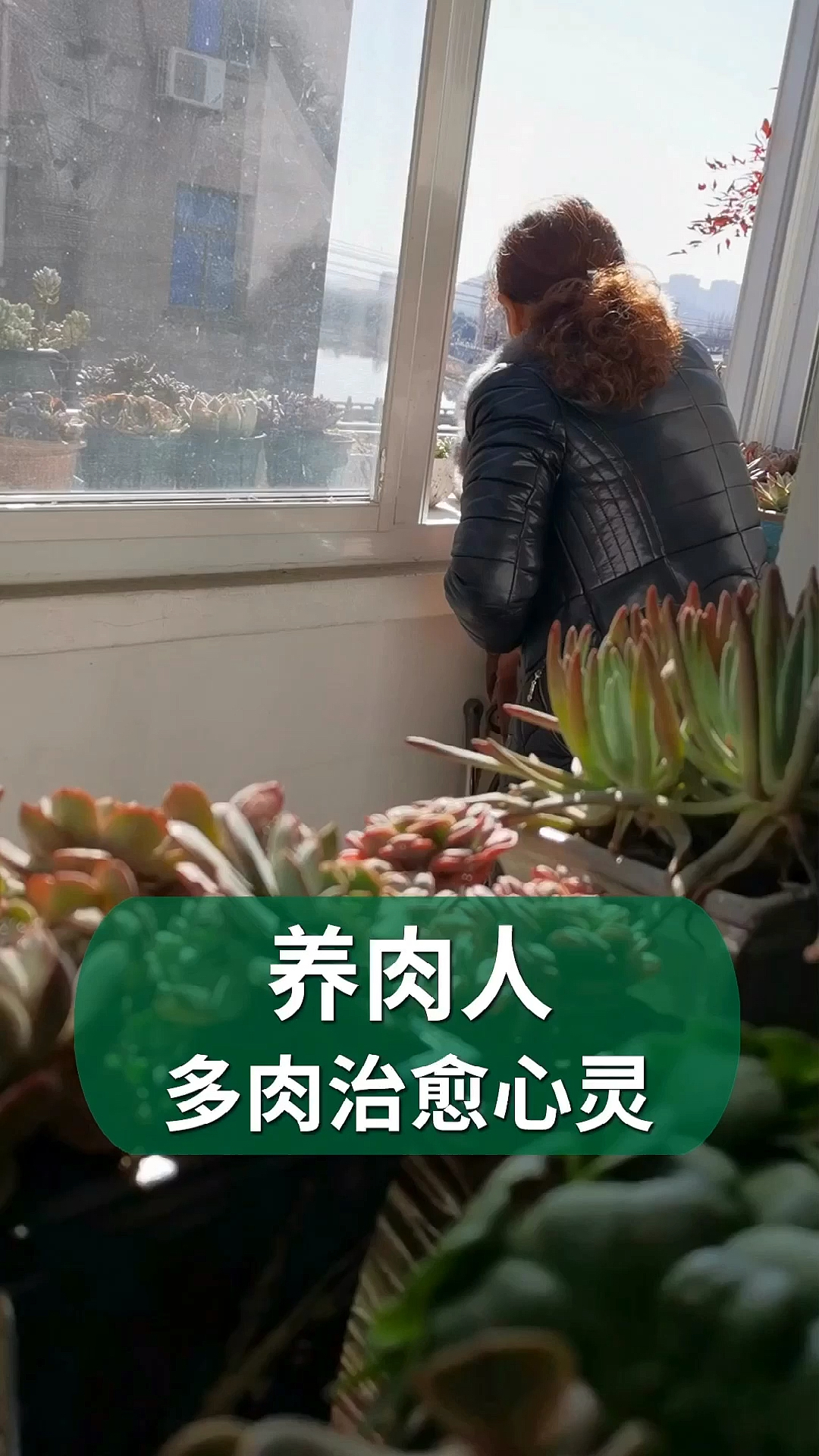 #分享养花经验#三年前给了小姑一颗多肉,现在麻将不打了,天天在家搬花盆