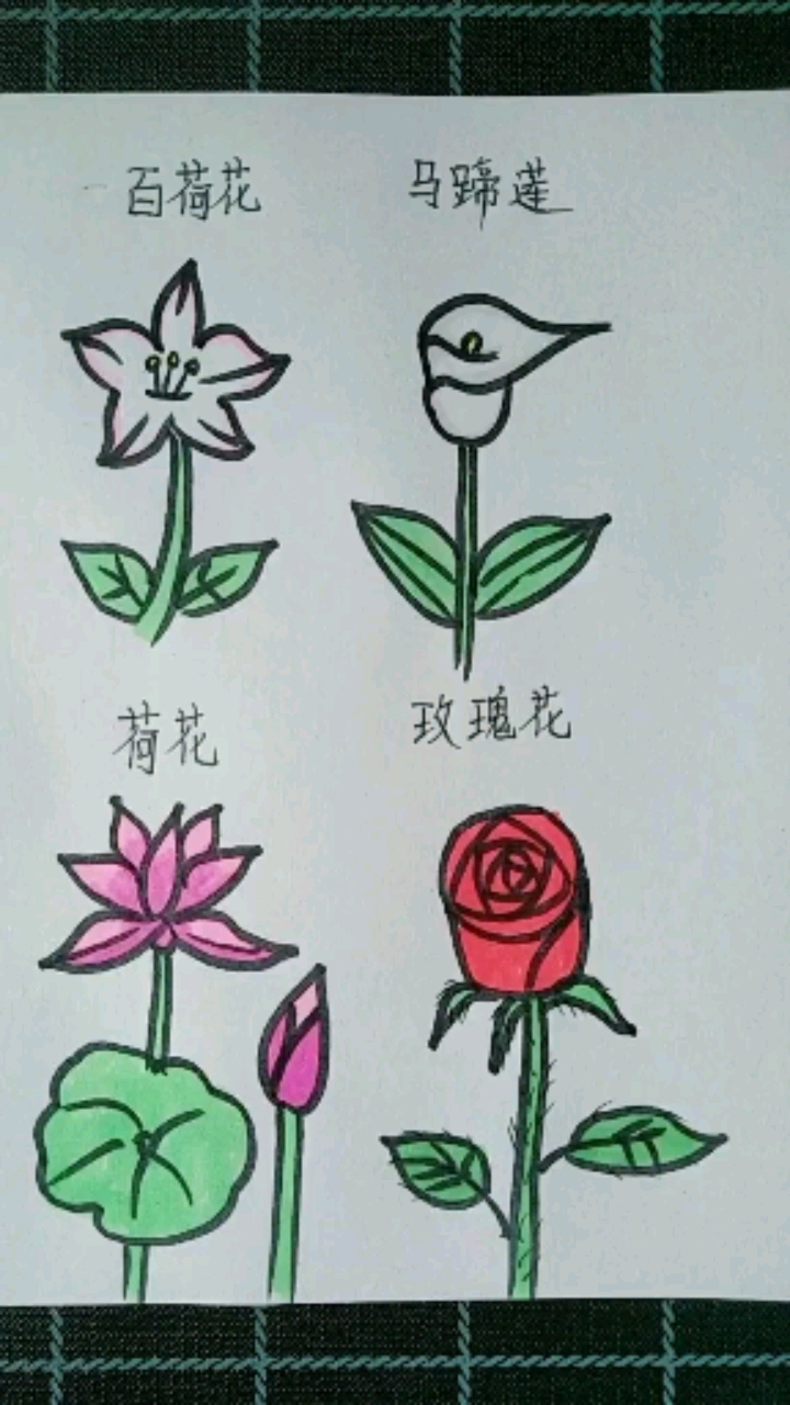 简笔画各种小花