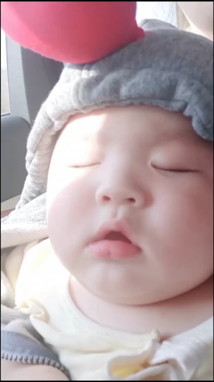 这是一坨睡着了的肉,从我身上掉下来的时候是7.6斤,现在养到五个月是20斤了