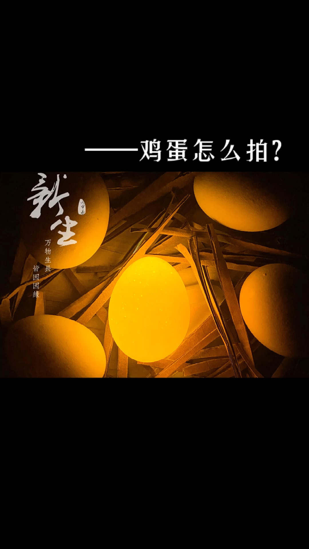 #手机摄影教学#你那的鸡蛋多少一斤了?