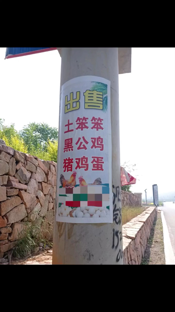 吃了笨鸡蛋会不会变笨啊