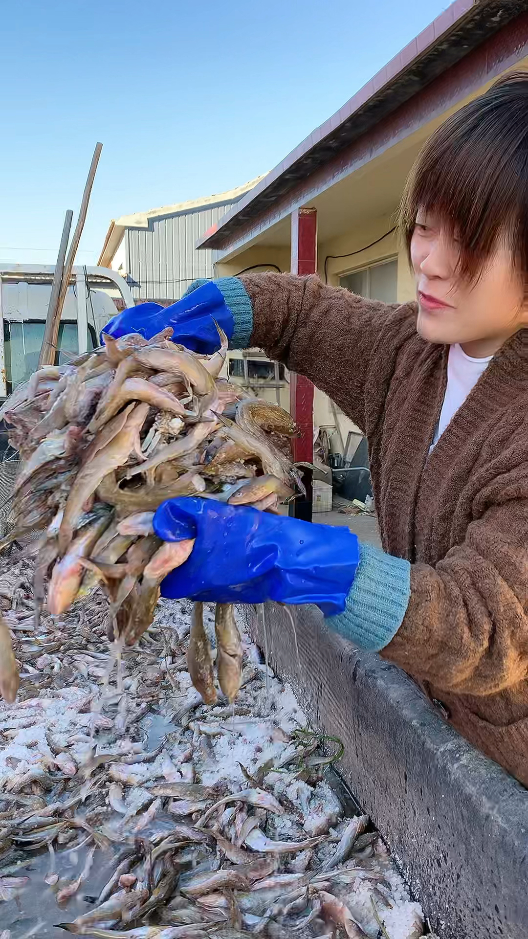 #海鱼#来吃鱼吧,酱炖油光鱼管饱～