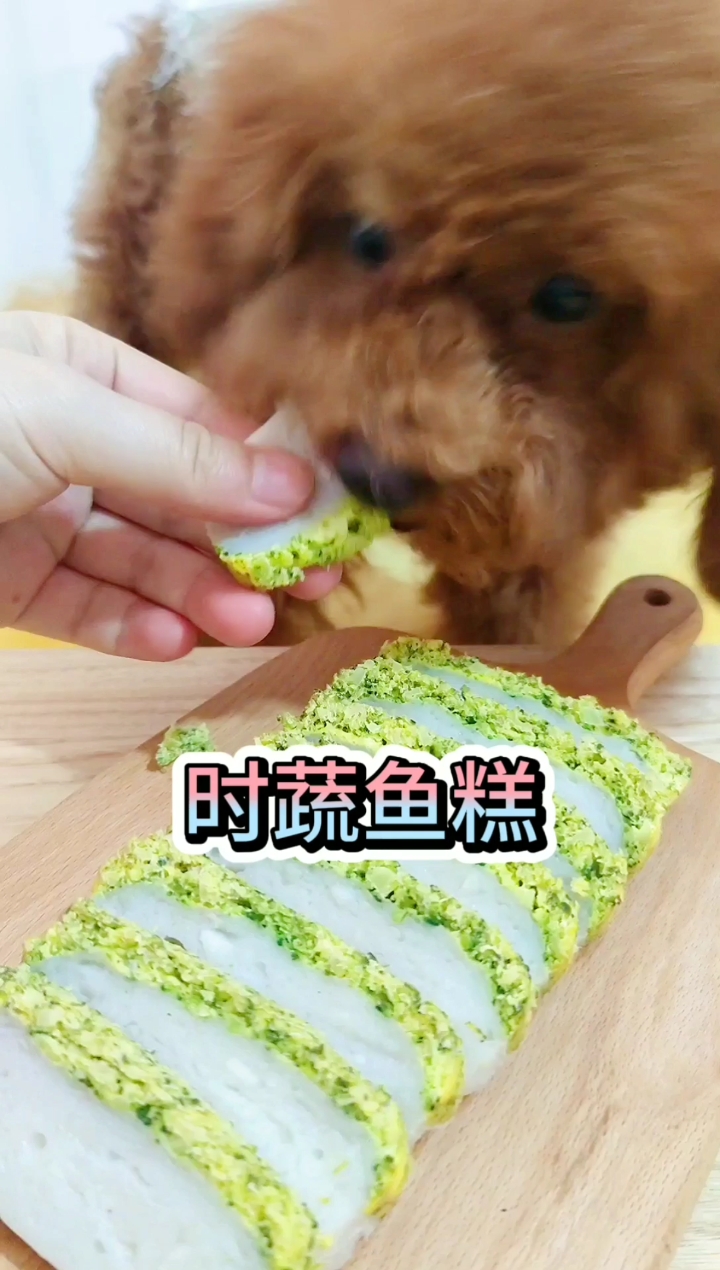 #家有萌宠#好看又好吃的宠物美食,还不学起来给你家毛孩子安排上,营养丰富还简单,动起来吧