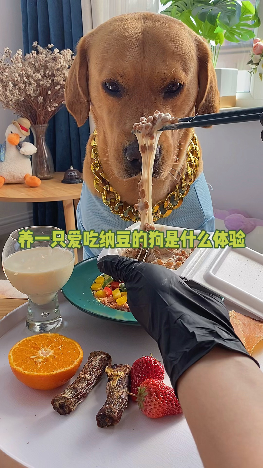 #我家萌宠成精了#马克又来吃纳豆啦