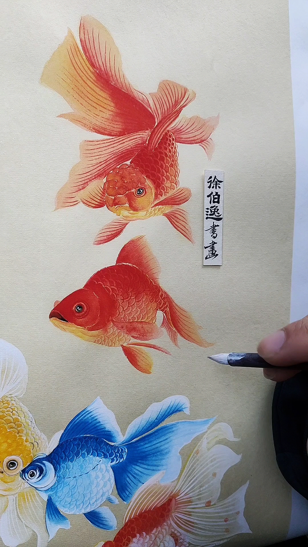 #徐伯逸书画#画一幅金鱼图