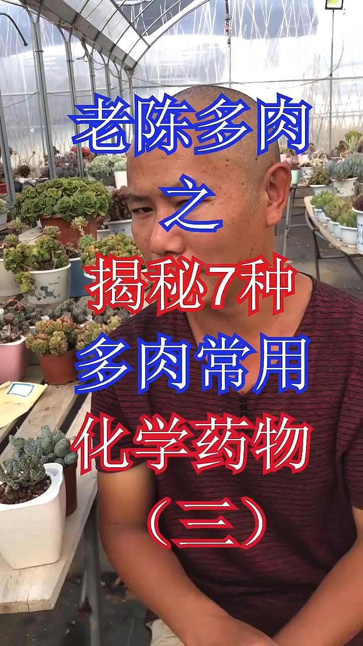 #有一种可爱叫多肉!#有些多肉植物为什么那么漂亮?不看不知道,一看吓一跳!估计你都遇到过!