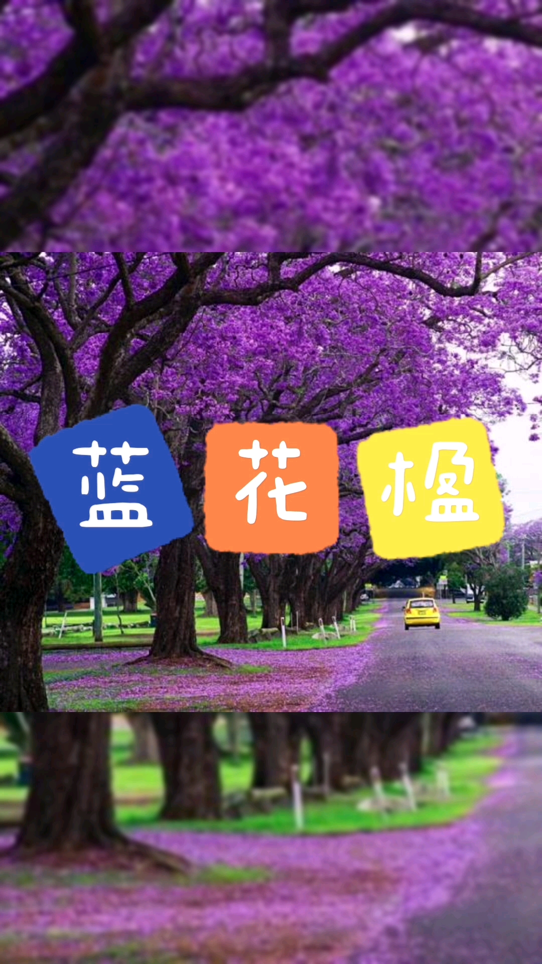 分享视频