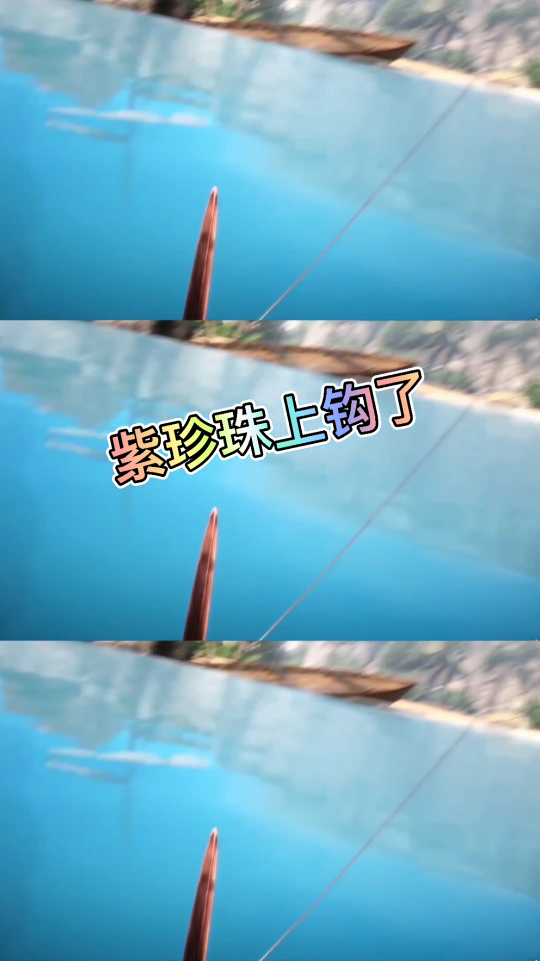 #斗罗大陆超高清#唐三活抓一只美人鱼紫珍珠
