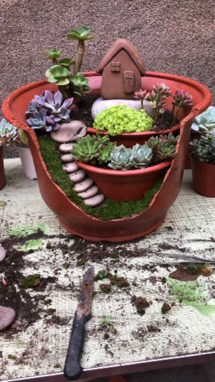 #微景观#破花盆不要丢弃,创意微景观,多肉植物
