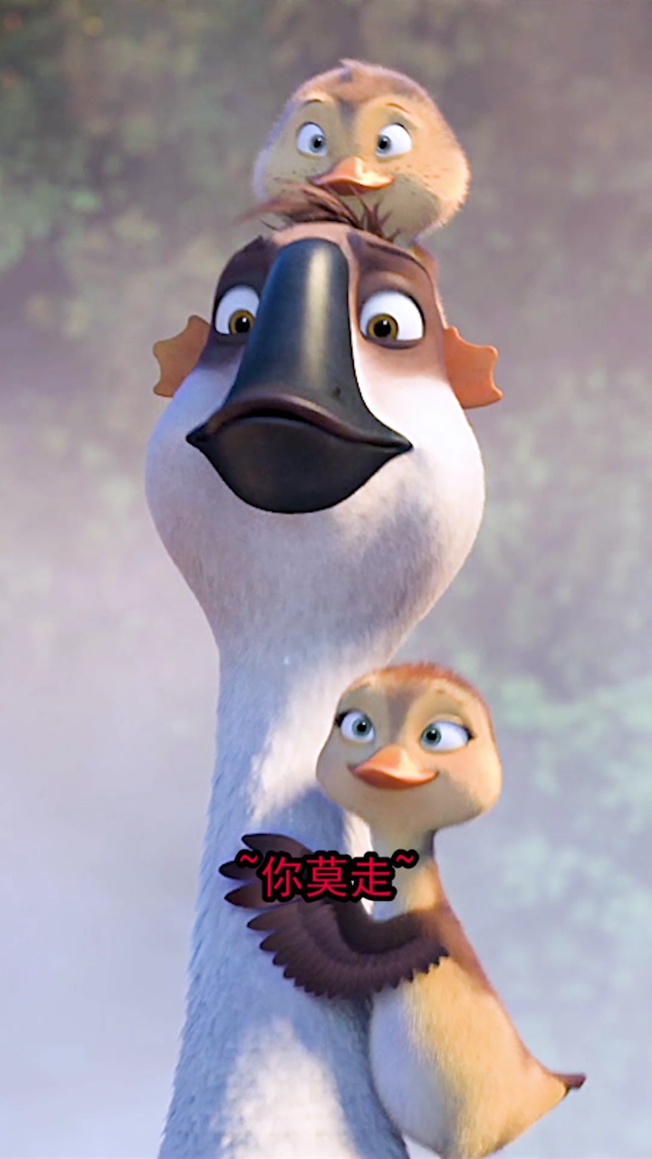 #可爱到爆了#你莫走!玉米粥