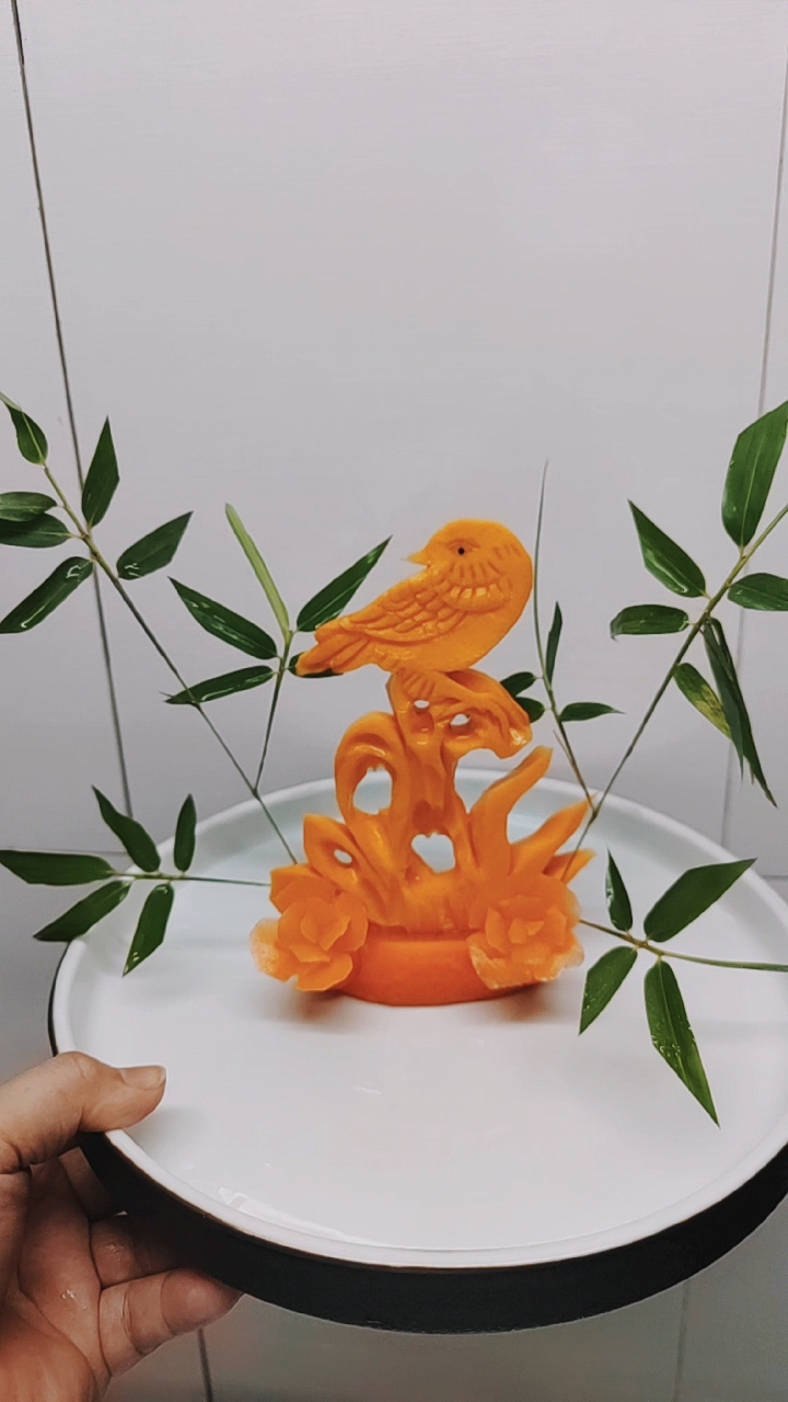 小鸟登技,值的推广吗?