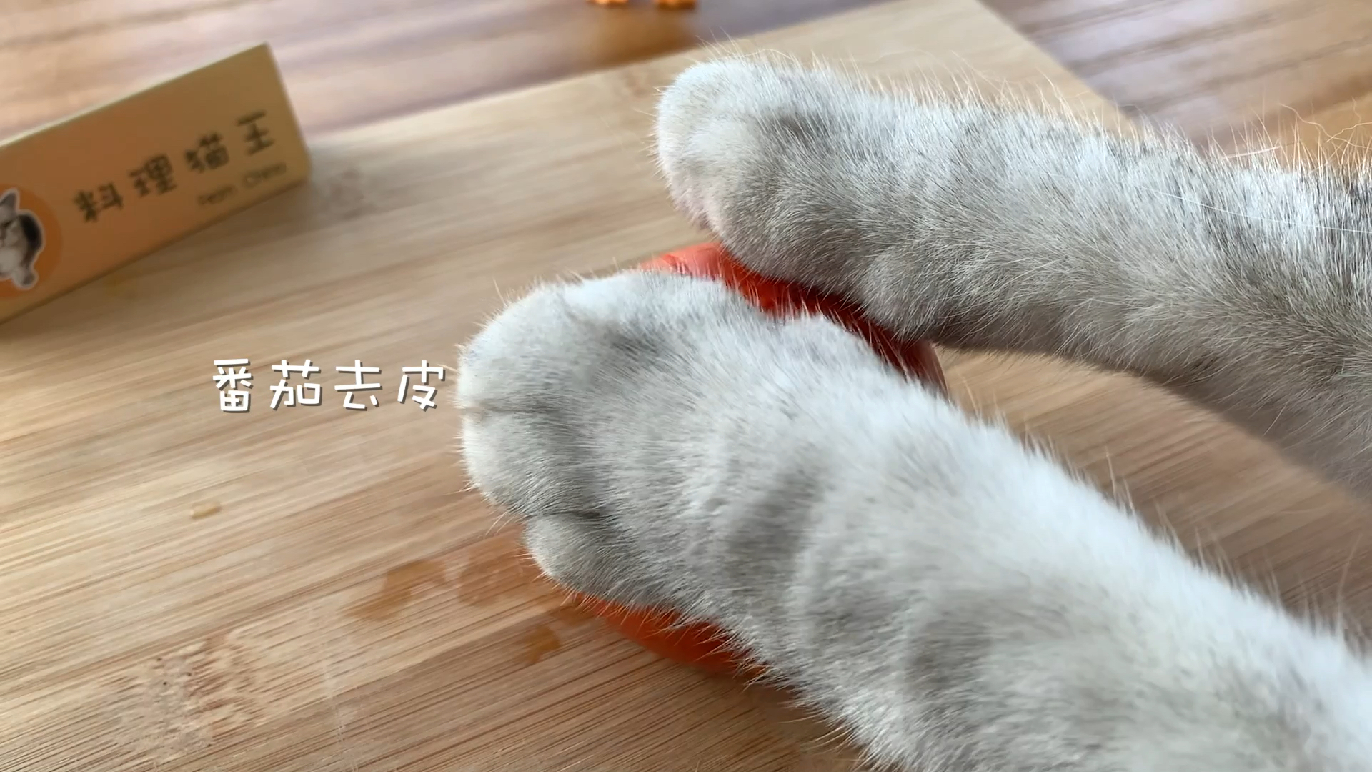#猫咪日记#饺子这么煮，超级好吃