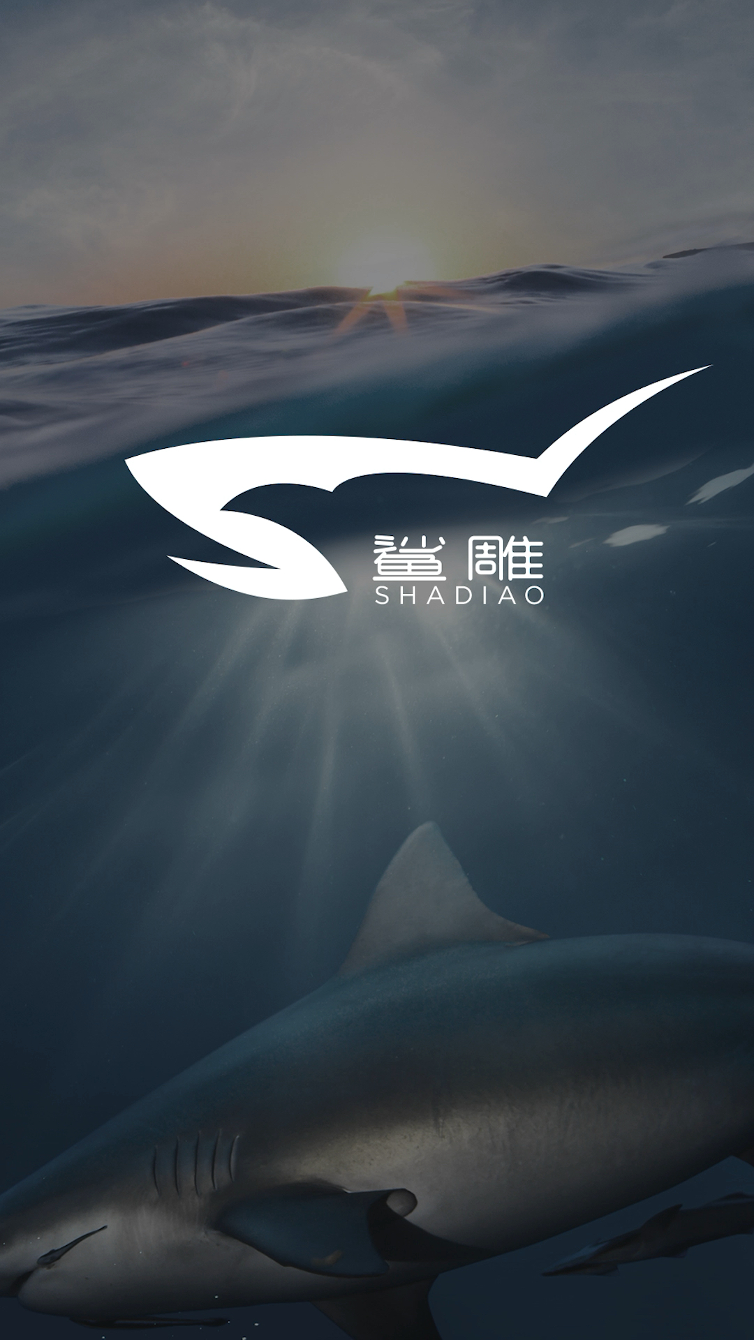#logo设计#鲨鱼和金雕怎么融合,看我操作。