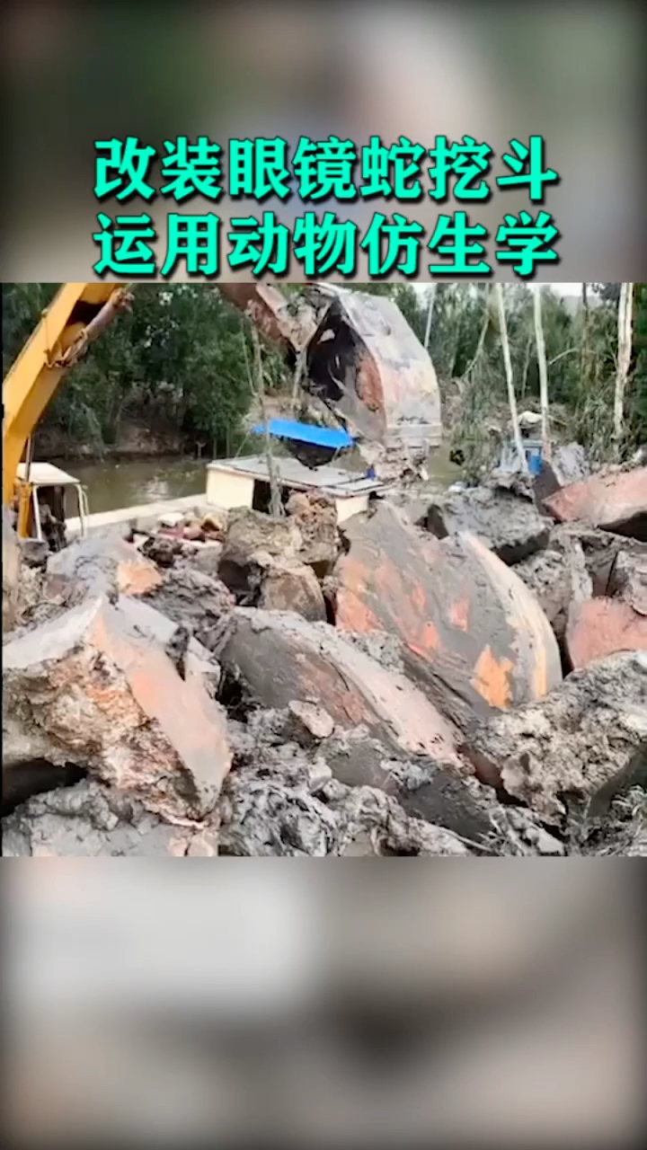 改装眼镜蛇挖斗,运用动物仿生学!