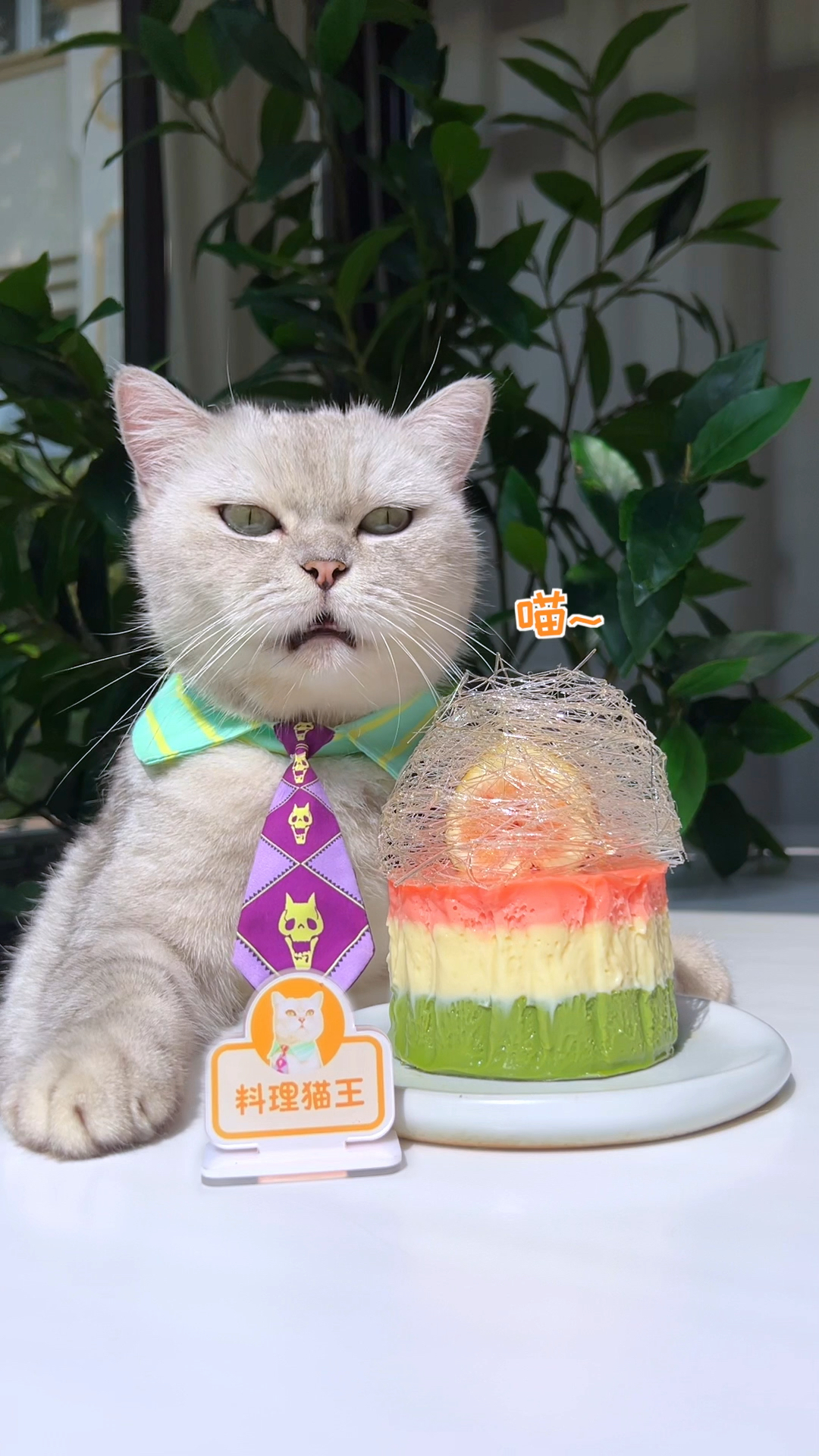 #美食记#猫王：学会这招人人都是米其林大厨，三色熔岩巧克力蛋糕这么摆盘太高级了